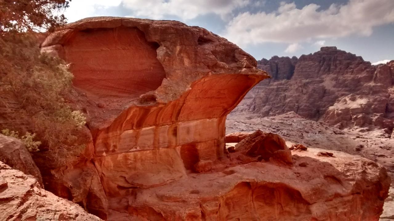 Petra Bedouin Bed And Breakfast Wadi Musa Exteriér fotografie